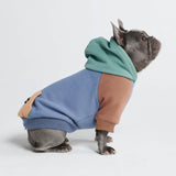 Alpine Hoodie