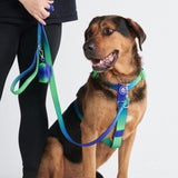 Lime Wave Harness