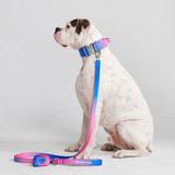 Snow Cone Collar