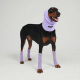 Purple Warmer Set