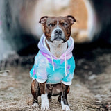 Velvet 90s Retro Hoodie