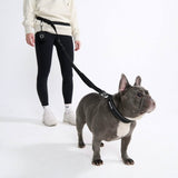 Multipurpose Seatbelt Handsfree Leash & Poop Bag Holder Set - Black