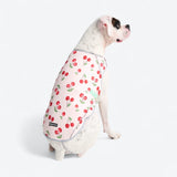 Cherries Cooling Vest