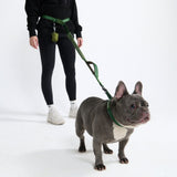Multipurpose Seatbelt Handsfree Leash & Poop Bag Holder Set - Army Green