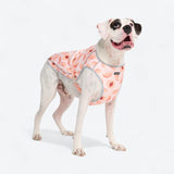 Dog Cooling Vest - Peaches