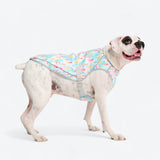 Dog Cooling Vest - Popsicles