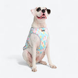 Dog Cooling Vest - Popsicles