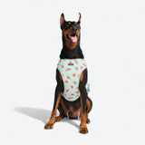 Dog Cooling Vest - Watermelon