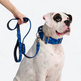 Comfort Control Collar - Blue Camo