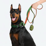 Comfort Control Collar Set - Green Orange