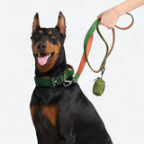 Comfort Control Collar - Green Orange