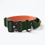Comfort Control Collar Set - Green Orange