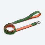 Comfort Control Collar Set - Green Orange