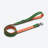 Comfort Control Collar - Green Orange