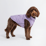 Lilac Warmshield Jacket||size:2XL