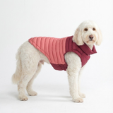 Red PuffShield Jacket||size:2XL