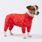 Red Bows||size:M
