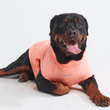 Peach Shirt