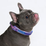 90s Retro Martingale Collar||size:A,B