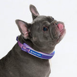 90s Retro Martingale Collar||size:A,B