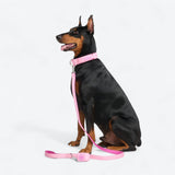 Comfort Control Collar - Pink