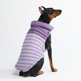 Purple PuffShield Jacket||size:3XL,4XL