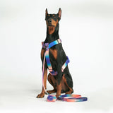 Leash and Poop Bag Holder Set - Kaleidoscope