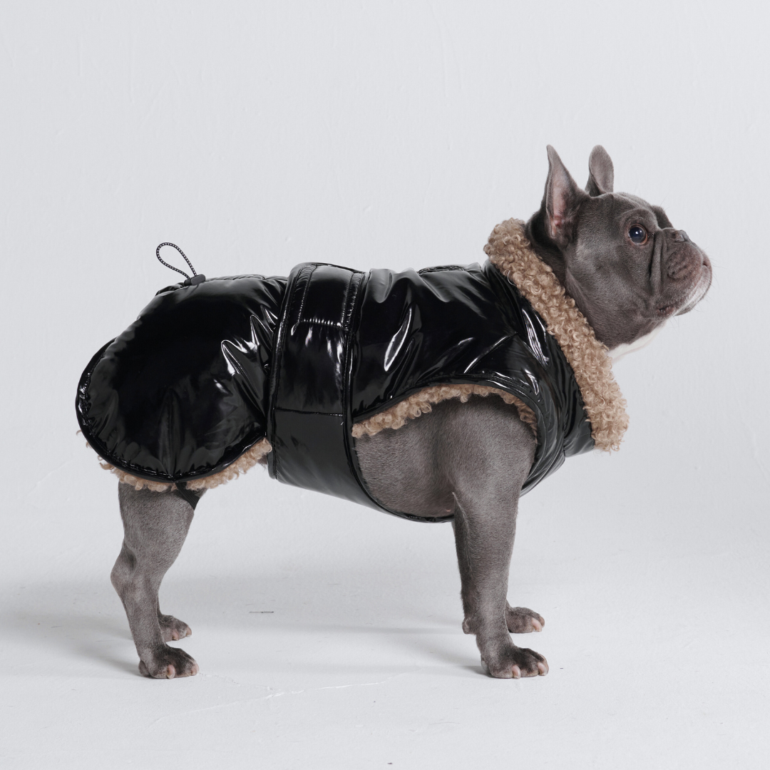 Goose down dog jacket online