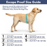 90s Retro Escape Proof||size:1,2,3,4,5