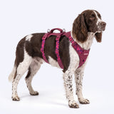 Fuchsia Camo Escape Proof||size:3