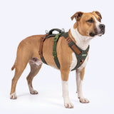 Green Brown Escape Proof||size:4