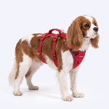 Red Gradient Escape Proof||size:1