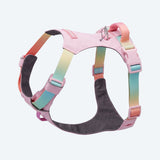 Pastel Icing Everyday||size:1,2,3,4,5