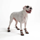 Flex Shell Waterproof Dog Boots - Brown