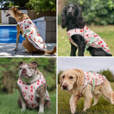 Cherries Cooling Vest||size:S,M,L,XL,2XL,3XL,4XL