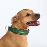 Green Collar||size:C,D,E