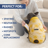 Sunshine Surgical Suit||size:S,M,L,XL,2XL,3XL,4XL,5XL