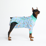 Dragons Surgical Suit||size:3XL,4XL