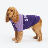 Purple Plush Fleece Dog Sweater||size:XL