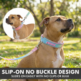 Pastel Icing Martingale Collar||size:C,D,E