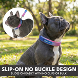 Snow Cone Martingale Collar||size:A,B