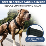 Black Harness||size:S,M,L