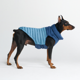 Blue PuffShield Jacket||size:S,M,L,XL,2XL,3XL,4XL