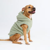 Teddy Sherpa Dog Sweater - Light Green