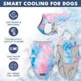 Snow cone Cooling Vest||size:S,M,L,XL,2XL,3XL,4XL