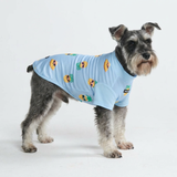 Pineapple Shirt||size:S,M