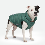 Green Thermosonic Winter Jacket||size:3XL