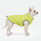 Neon Thermosonic Winter Jacket||size:S