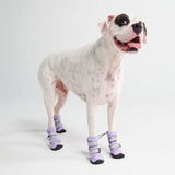 Flex Shell Waterproof Dog Boots - Lilac