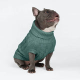 Cable Knit Dog Sweater - Pine Green